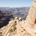 Grand Canyon Trip 2010 311